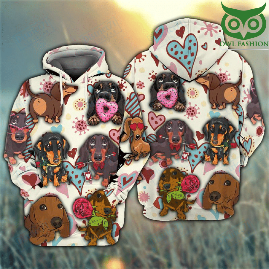 Dachshund For Dog Lovers 3D hoodie