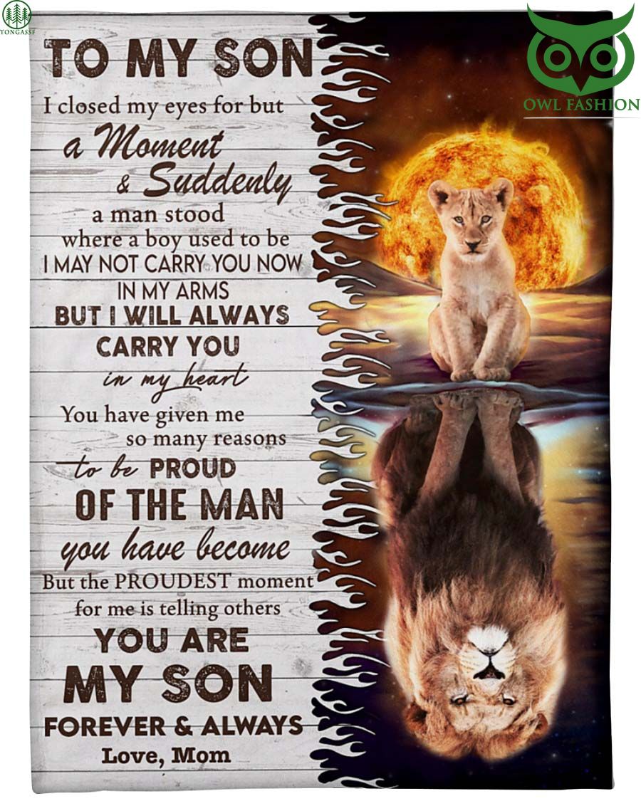 Love son father lion family with sun behind blanket