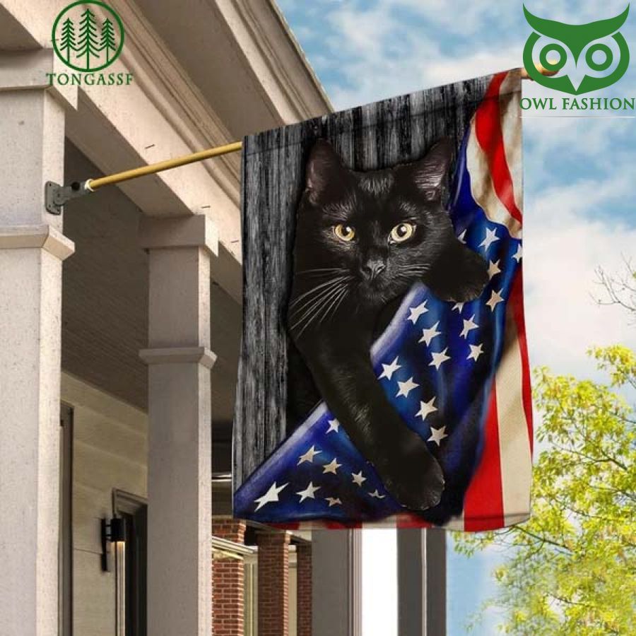 Cat Climbing American Flag