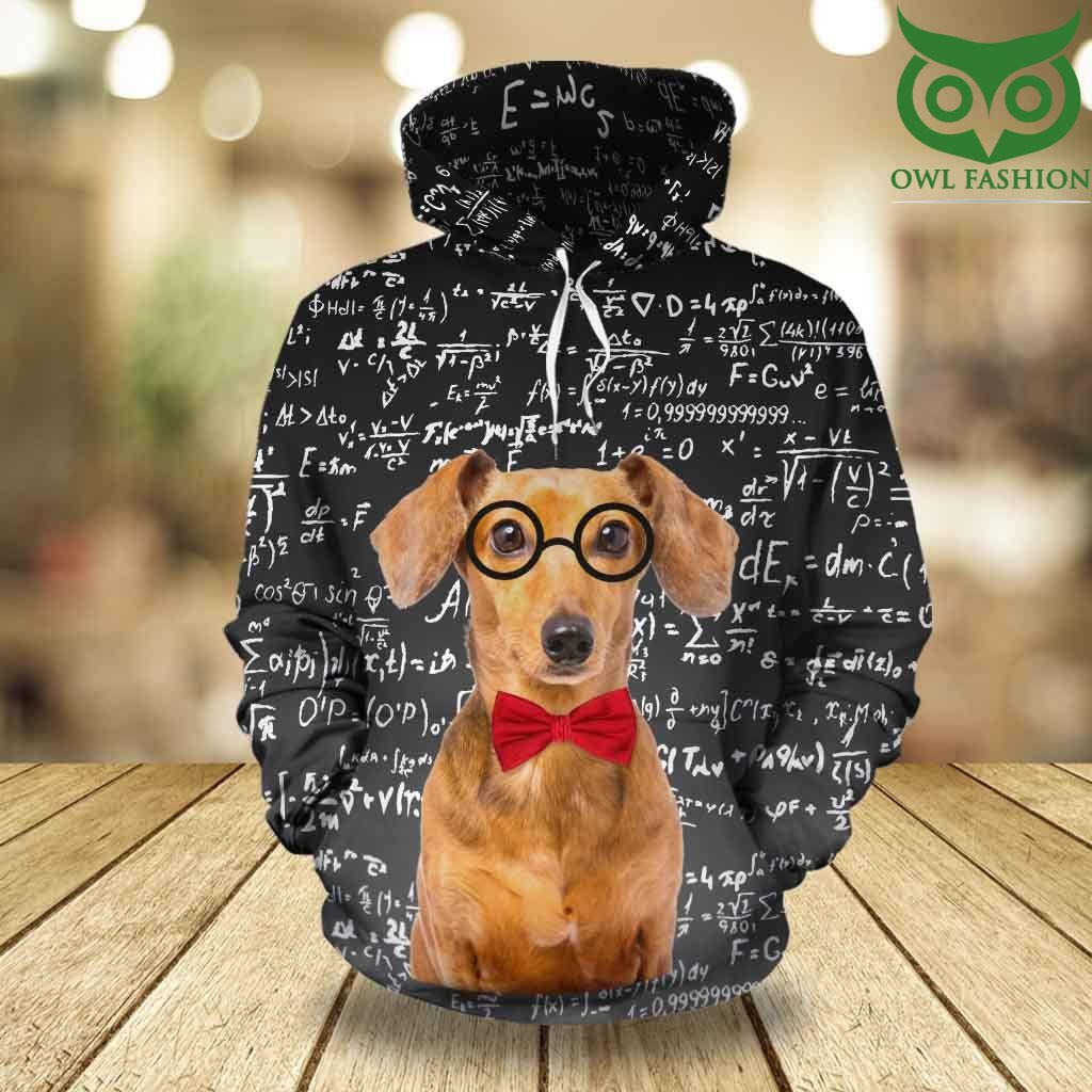 dachshund loves math 3d AOP Hoodie and Sweatshirt