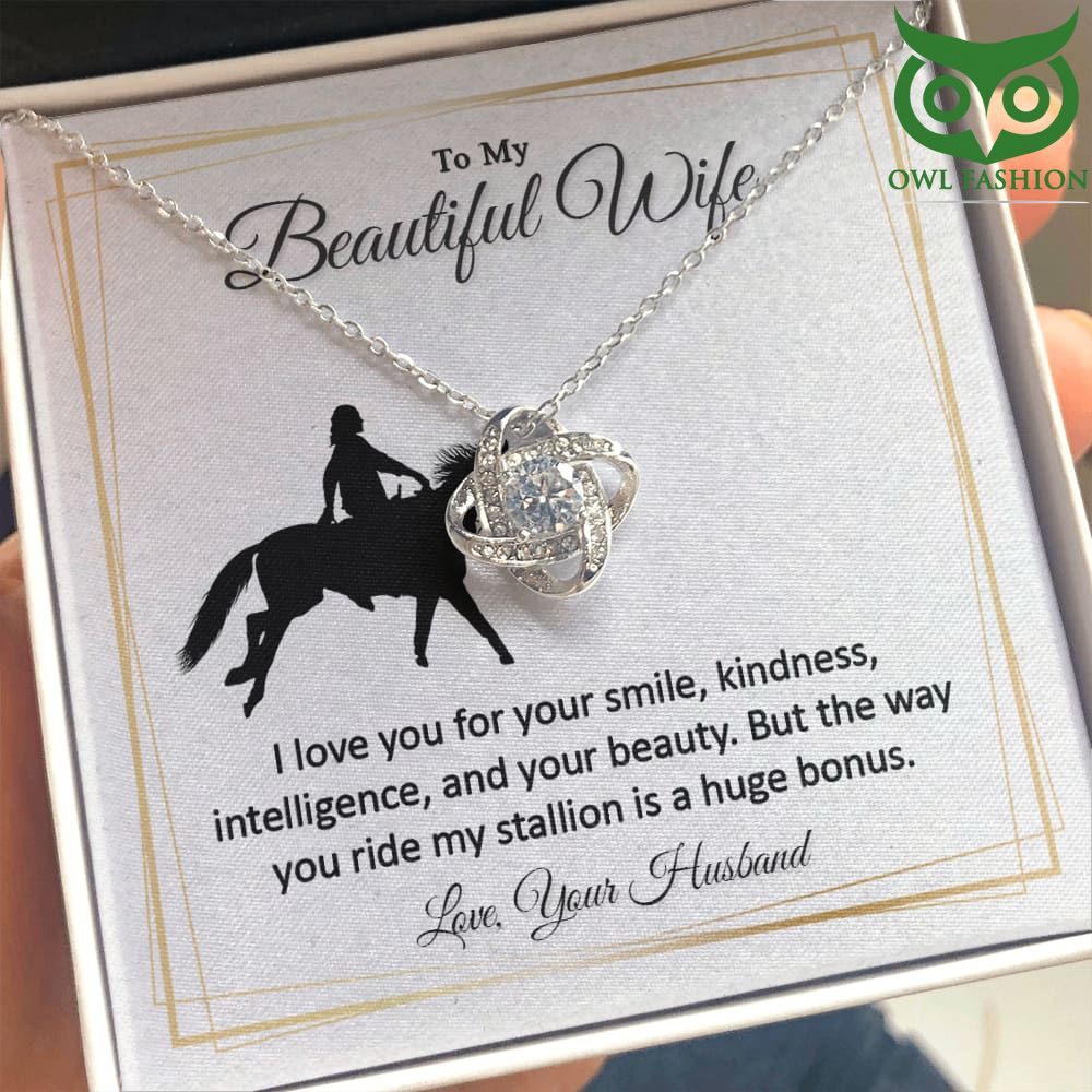 289 Horse Riding Wife beauty and intelligence love cross pendant Silver chain for Valentine day