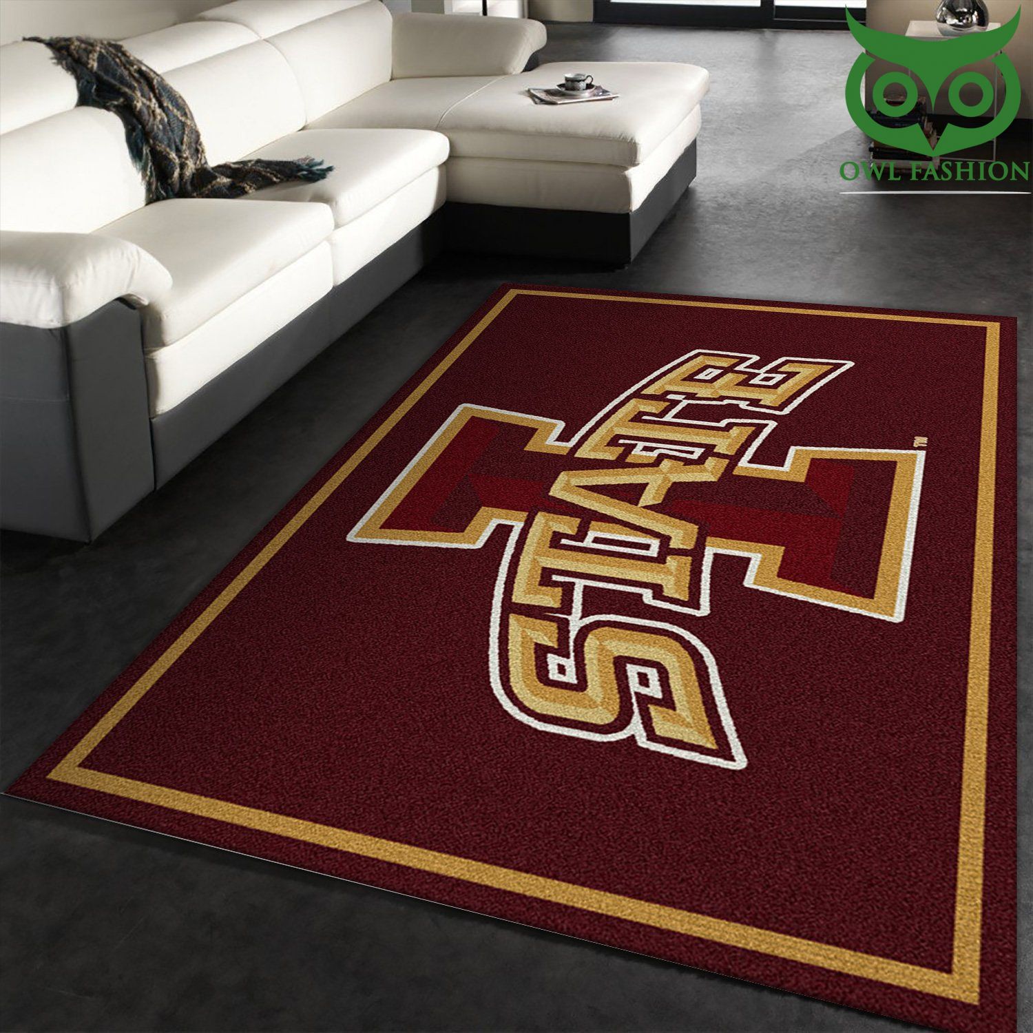 College Spirit Iowa State Sport Area carpet rug Home and floor Decor