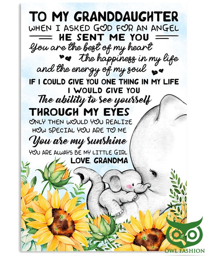 Lovely Baby Elephant Grandma love Granddaughter Poster
