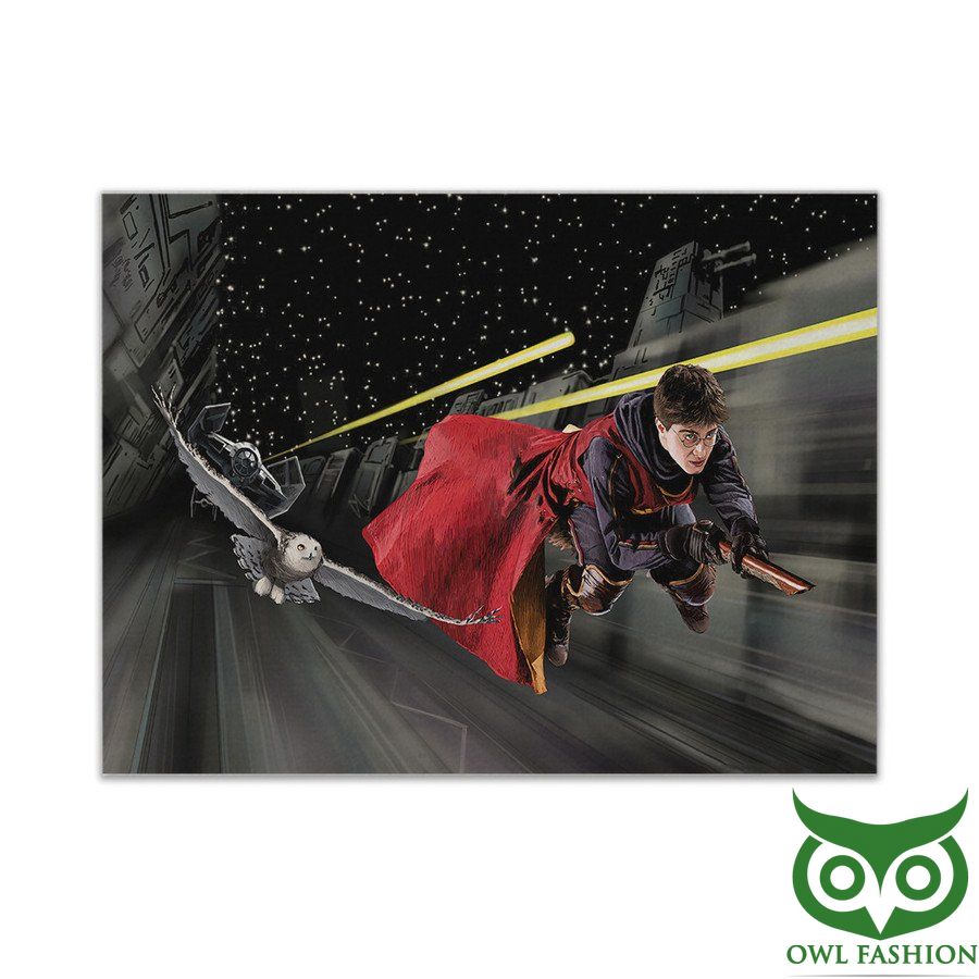 3D Harry Potter Quidditch Hedwig Star Wars Canvas