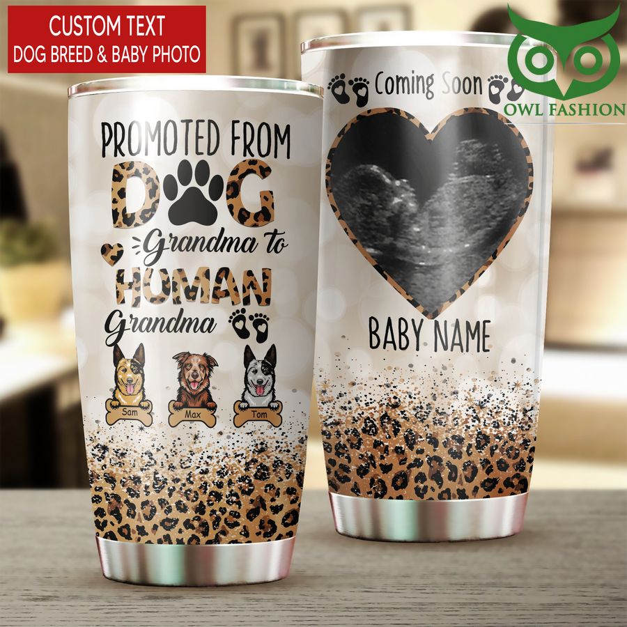 247 Personalized Promoted From Dog Grandma To Human Grandma stainless steel Tumbler cup
