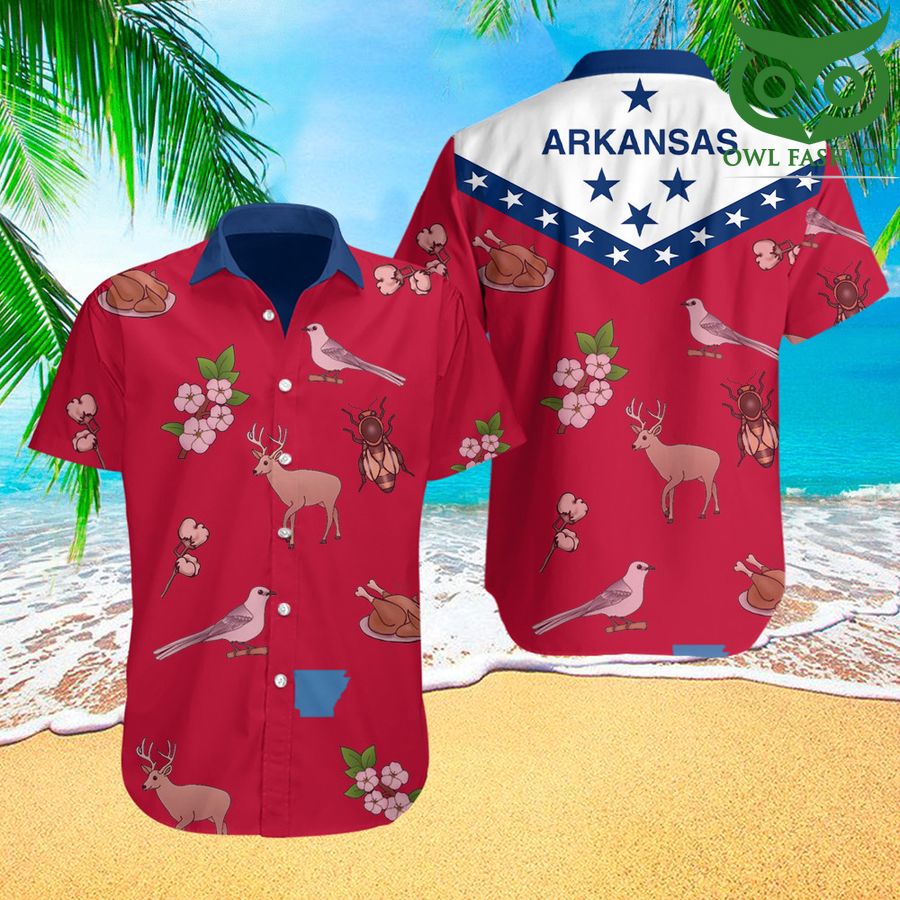 Arkansas Flag Hawaii Shirt US State Arkansas Pride Clothing Summer Gift