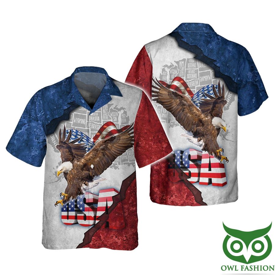 Eagle American Independence Day Red Blue Gray Parts 3D Shirt