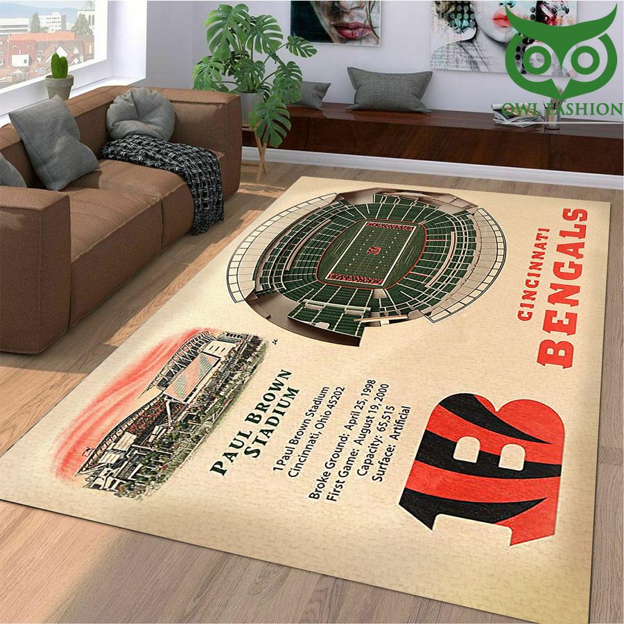 352 Fan Design Cincinnati Bengals Stadium 3D View Area Rug