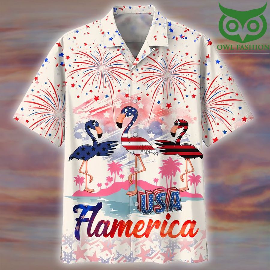 111 American Independence day USA Flamerica 3D shirt