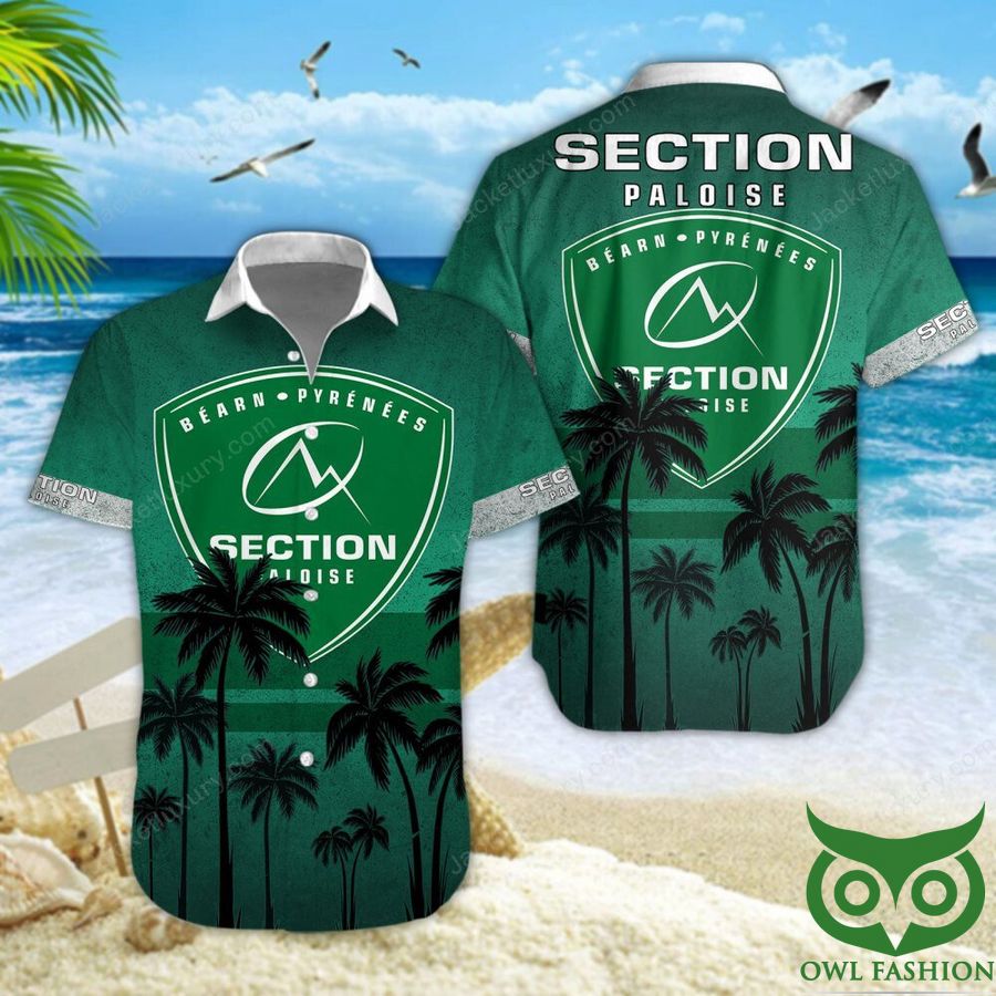 Section Paloise Logo Coconut Green 3D Shirt