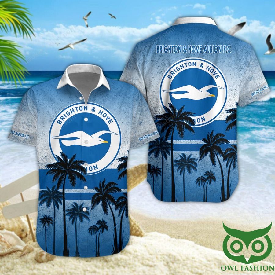 Brighton & Hove Albion F.C Coconut Blue 3D Shirt