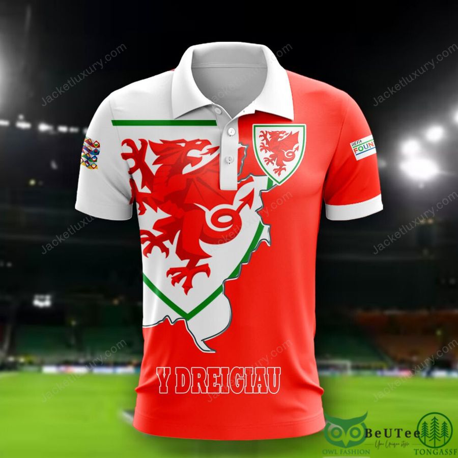 Wales National Euro Football 3D Polo T-shirt Hoodie