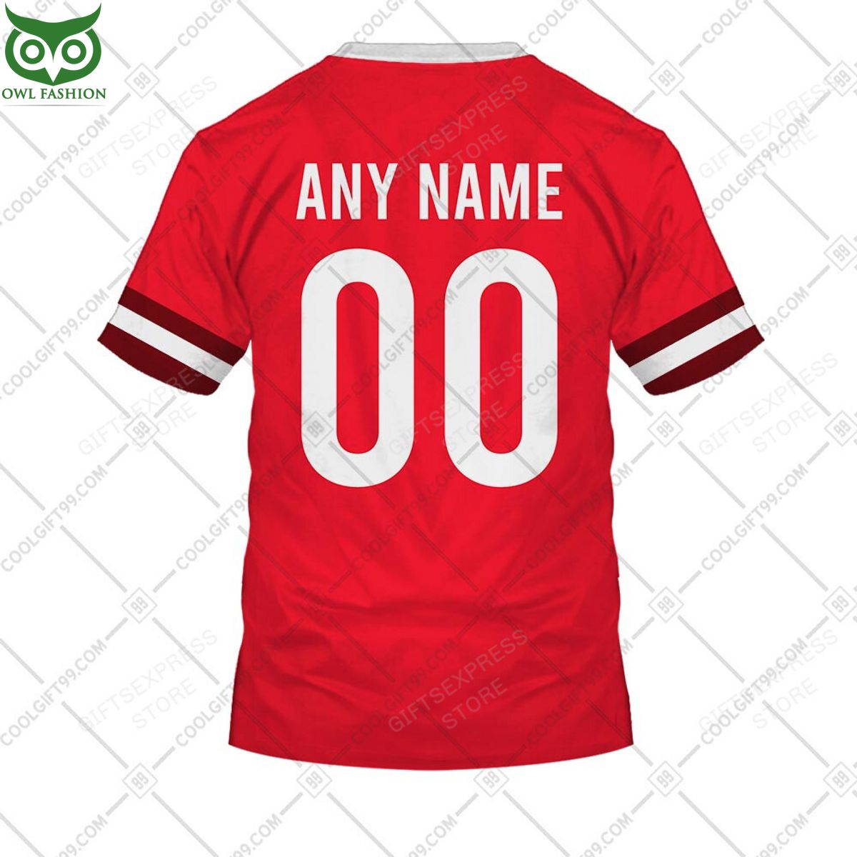 rugby world cup wales home jersey personalized 3d hoodie tshirt 4 HwOGK.jpg