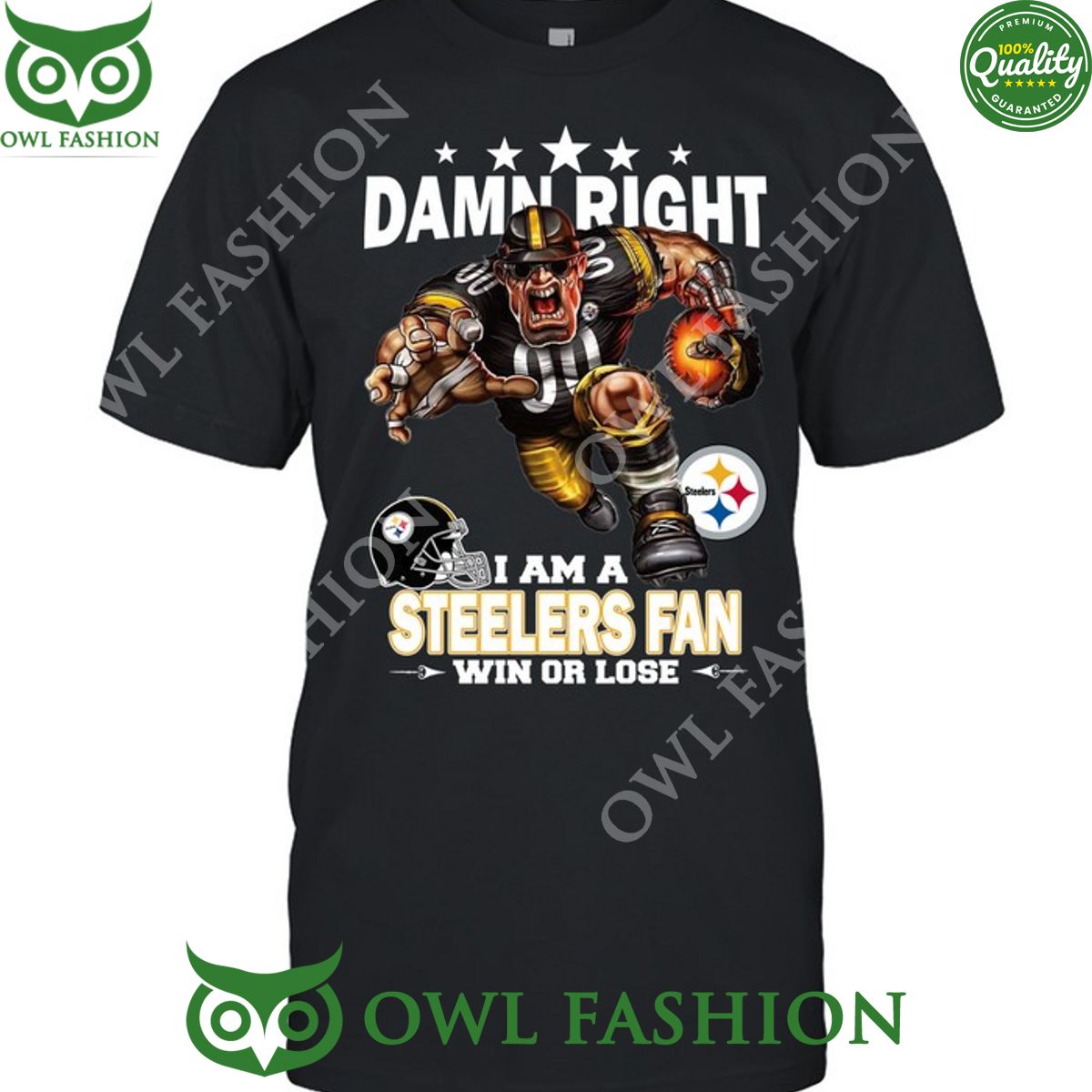 damn right pittsburgh steelers nfl fan win or lose t shirt 1 OvD9b.jpg