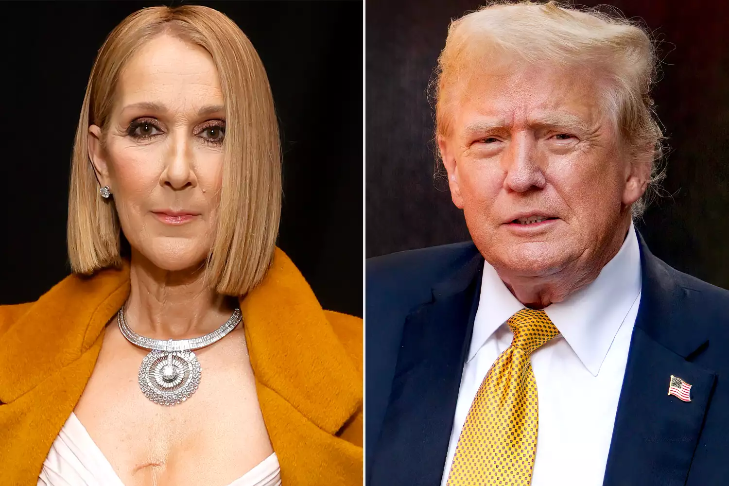 Celine Dion Criticizes Donald Trump for Using 'My Heart Will Go On' at Campaign Rally: 'Really THAT Song?'